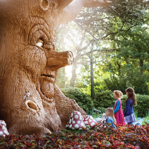 Efteling groot